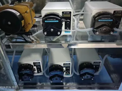 Amonyak Azotu Giderme Bakterileri (Ototrofik)