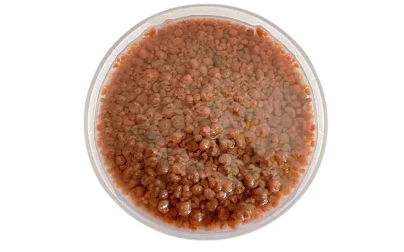 Anaerobik Biyo-Uyarıcı