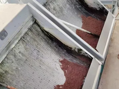 Bakteri Aktivasyon Besini