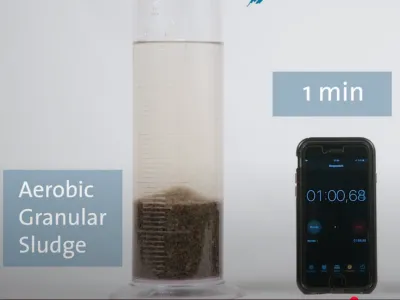 Biyo-Koku Giderici Bakteriler