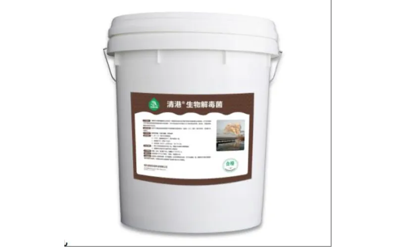 Biyo-Detoksifikasyon Bakterileri