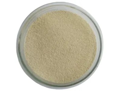 Biyo-Detoksifikasyon Bakterileri