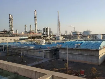 COD Giderme Bakterileri (Aerobik)