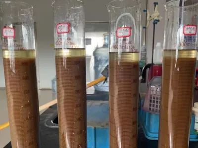 COD Giderme Bakterileri (Anaerobik)