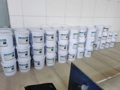 DMF Yüksek Verimli Giderme Bakterileri