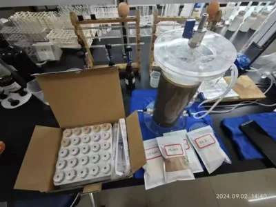 DMF Yüksek Verimli Giderme Bakterileri