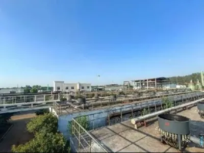 Yüksek Verimli Aerobik Bakteriler