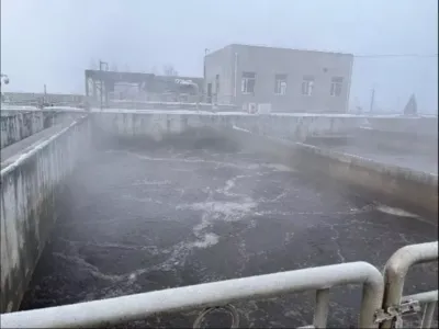 Yüksek Verimli Anaerobik Bakteriler