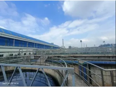 Hidrolitik Asitlendirme Bakterileri