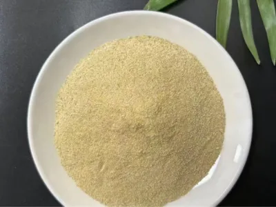 Yağ Giderme Bakterileri