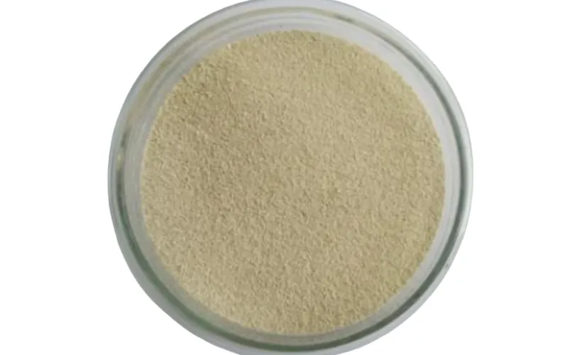 Polifosfat Biriktiren Bakteriler