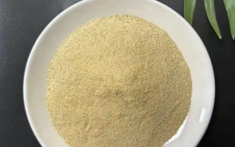 Tuz Toleranslı Amonyak Azotu Giderme Bakterileri