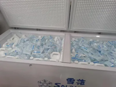 Tuz Toleranslı Amonyak Azotu Giderme Bakterileri