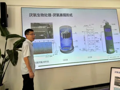 Tuz Toleranslı Toplam Azot Giderme Bakterileri