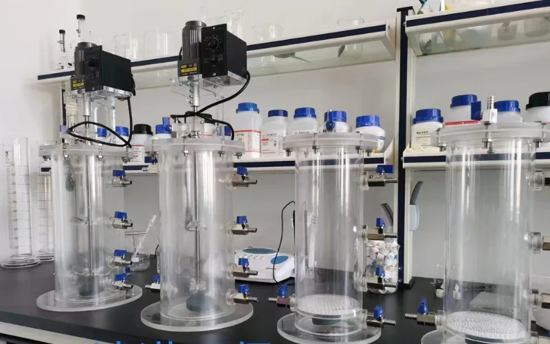 Neden Bizi Seçmelisiniz